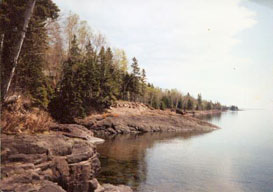 Shoreline Image